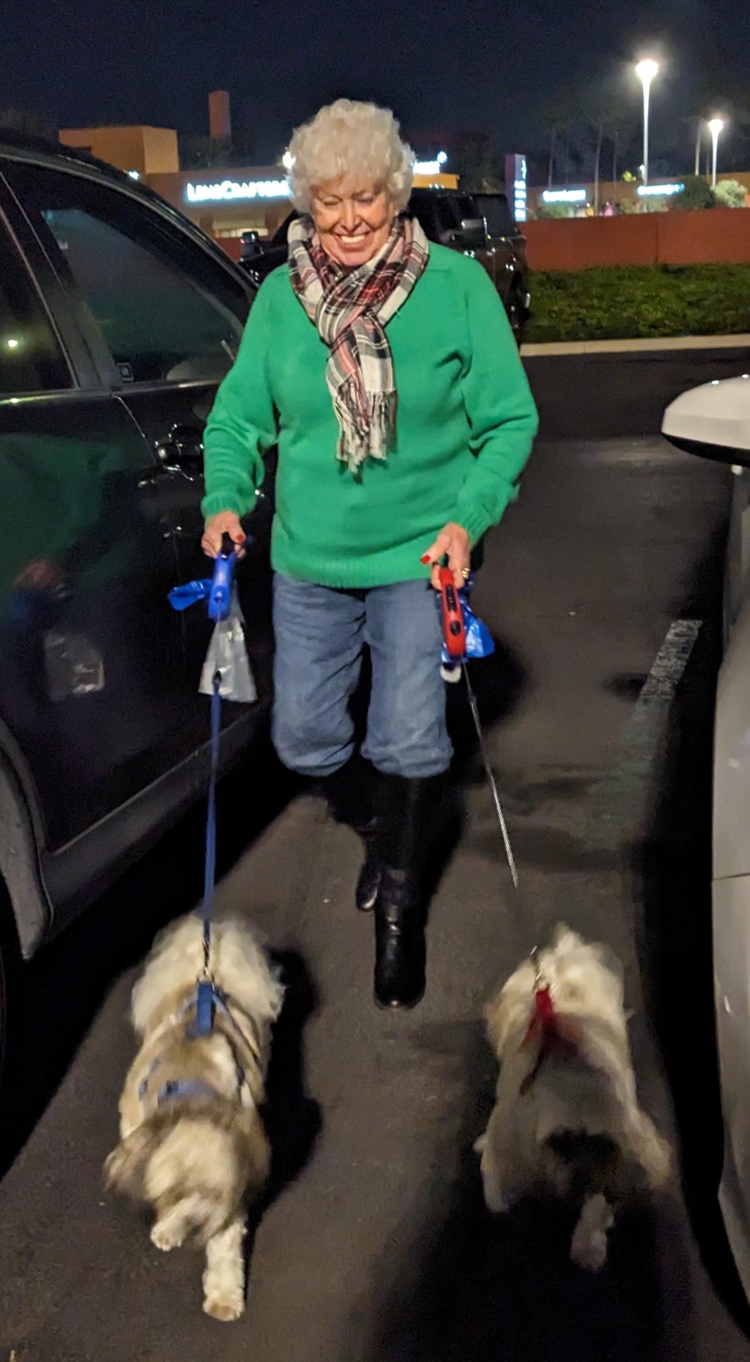 Dec 2024 tailgate