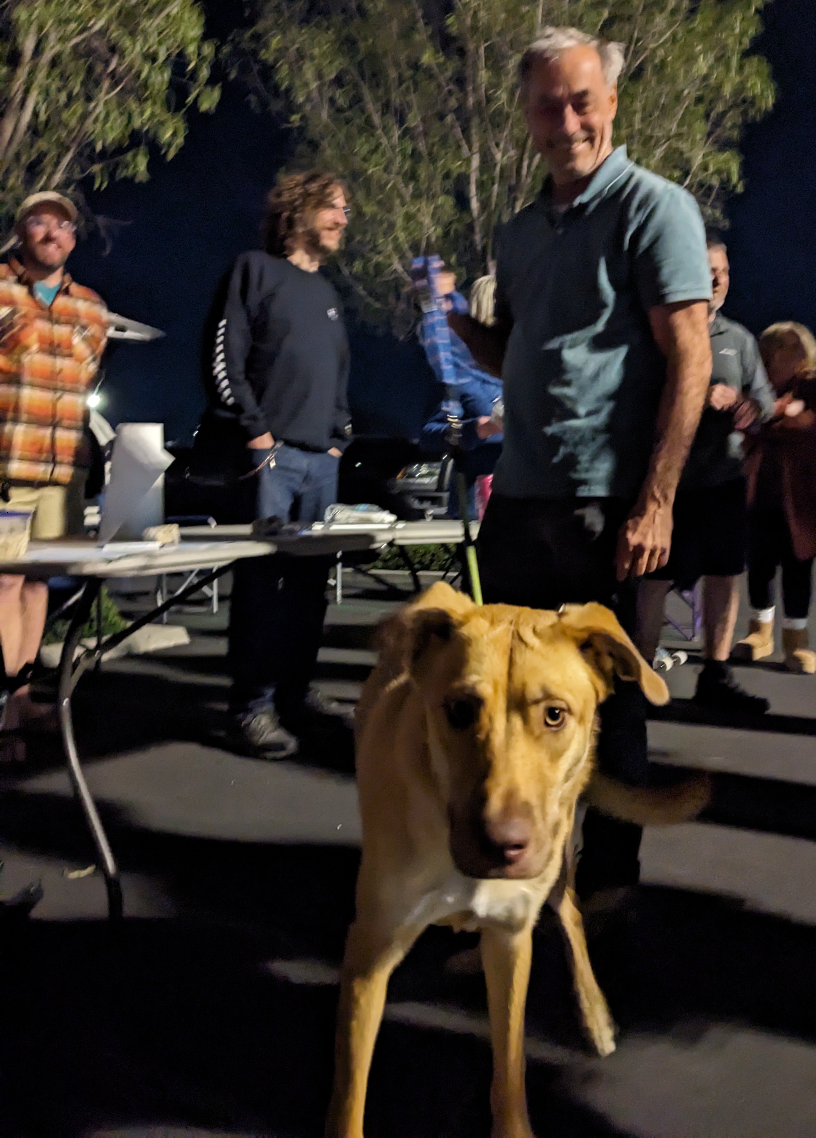 Feb 2025 tailgate